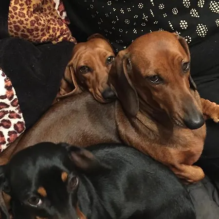 La Maison Blanche 로마