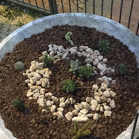 B&B La Maison Blanche 로마