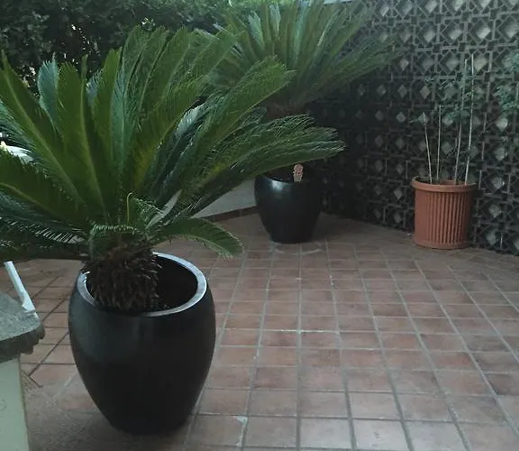 Frühstückspension La Maison Blanche