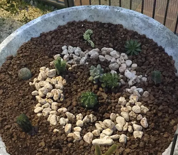 Couette-café La Maison Blanche Rome